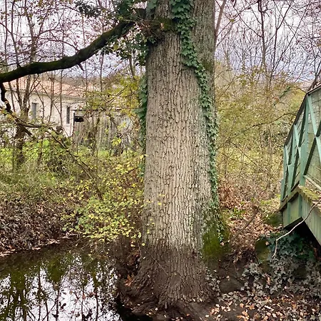 La Bessinoise, 4chambres, Fibre Optique Et Canoe Niort & Prázdninový dům