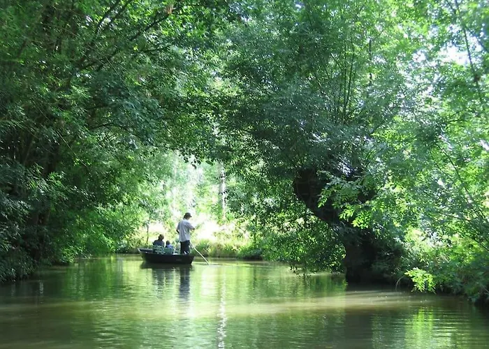La Bessinoise, 4chambres, Fibre Optique Et Canoe Niort & Bessines